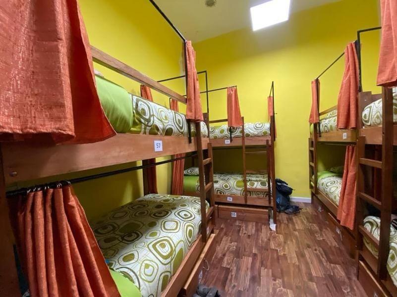 Saint Peter'S Llama Hostal La Paz Exterior photo